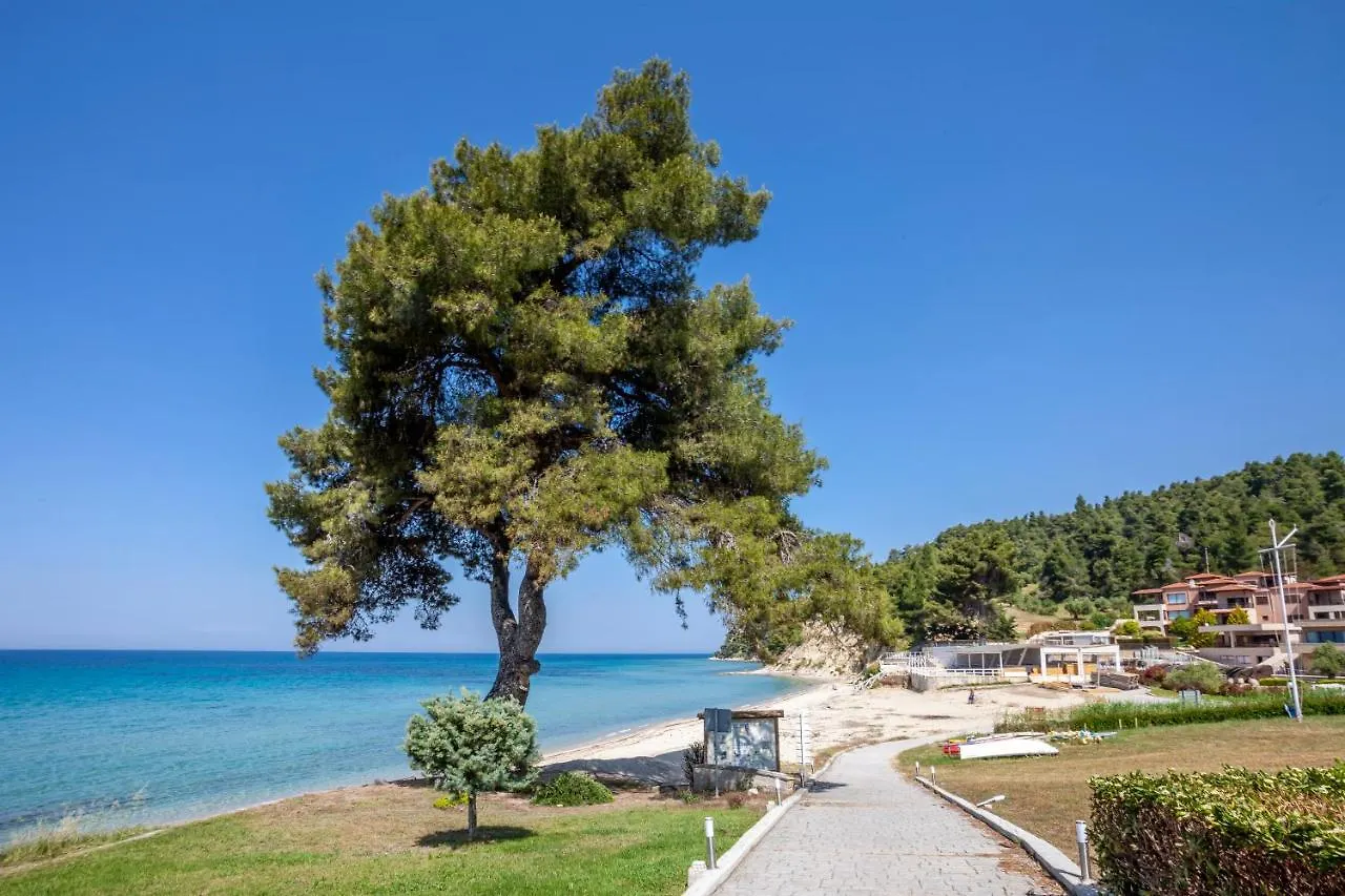 Apartment Amalia Luxury House In Elani Beach 100M By The Sea Siviri